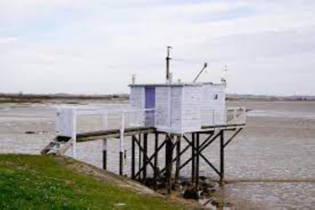 Maison Au Coeur Des Vignes Cussac-Fort-Medoc Exteriör bild
